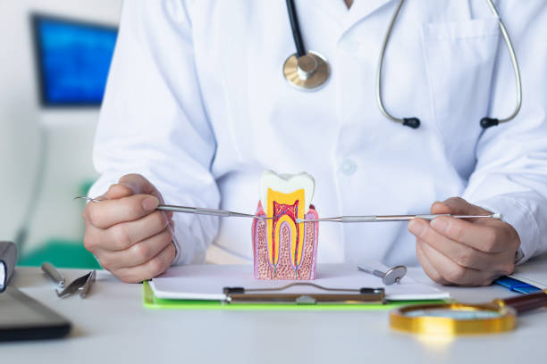 Best Knocked-Out Tooth Emergency  in Three Oaks, FL